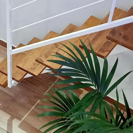 Panorama Tatil Evi *